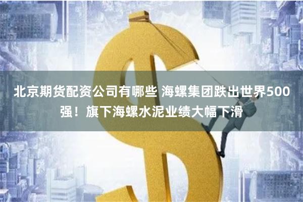 北京期货配资公司有哪些 海螺集团跌出世界500强！旗下海螺水泥业绩大幅下滑