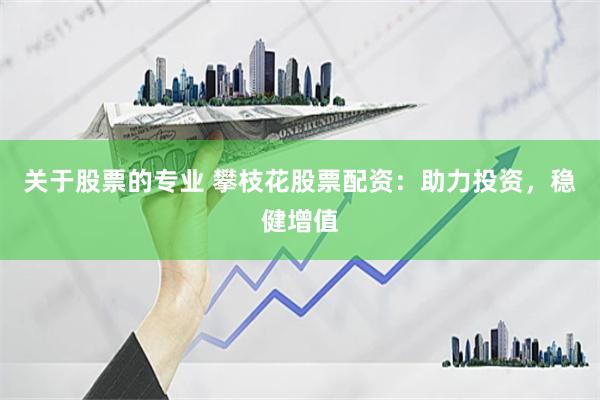 关于股票的专业 攀枝花股票配资：助力投资，稳健增值